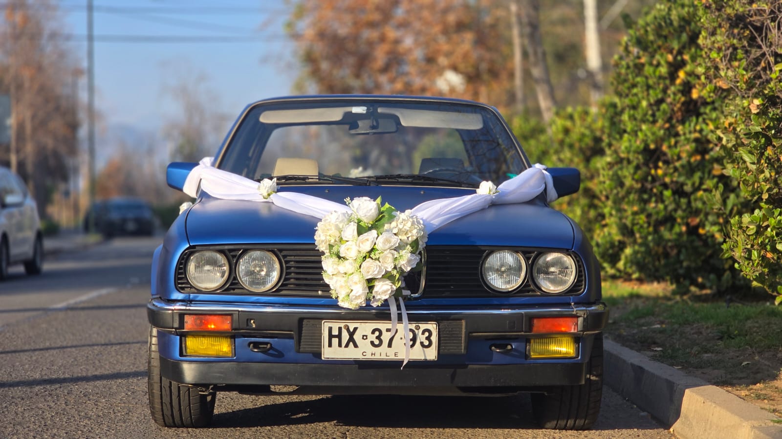 BMW E30 1987